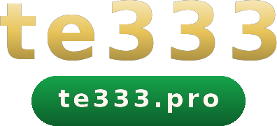 te333 logo